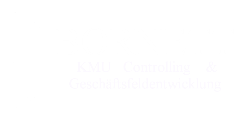 Bornett KMU Controlling & Geschäftsfeldentwicklung